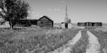 Great Depression and WWII Conservation Provide Guidance for Today