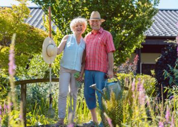 Volunteer Projects for Seniors