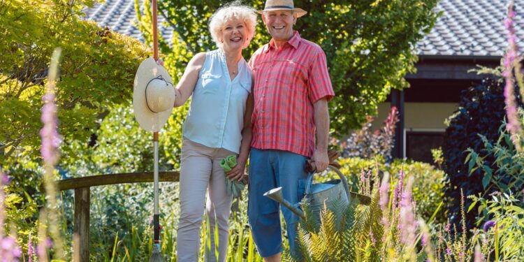 Volunteer Projects for Seniors